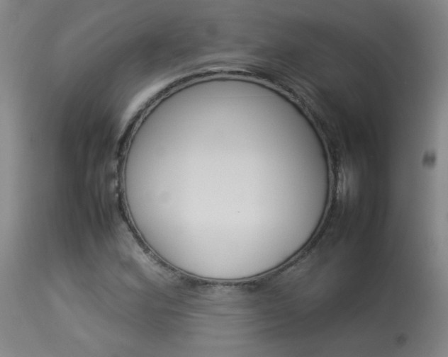 X0000113931164200909250909
