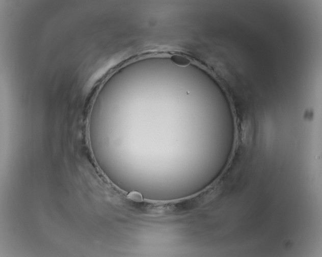 X0000113931165200909250909
