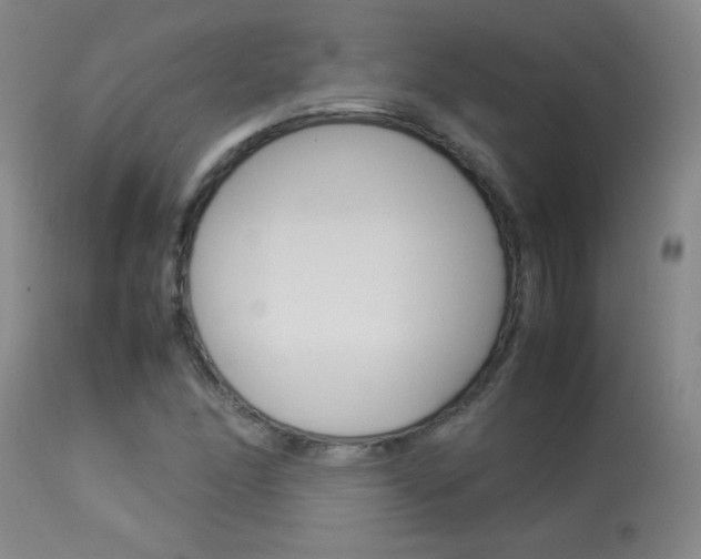 X0000113931166200909250909
