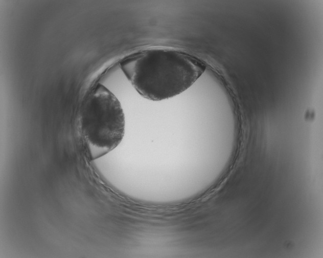 X0000113931167200909250909