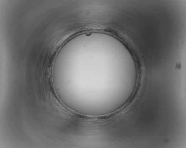 X0000113931169200909250909
