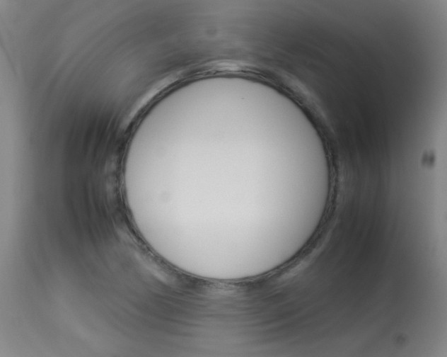 X0000113931170200909250909