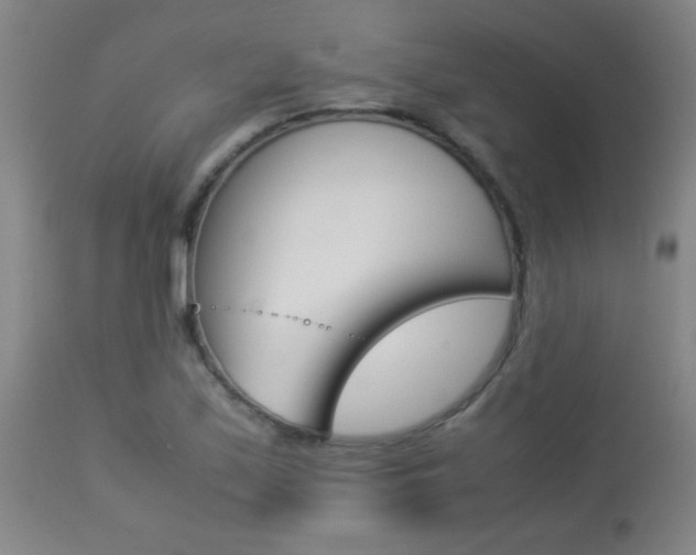 X0000113931171200909250909