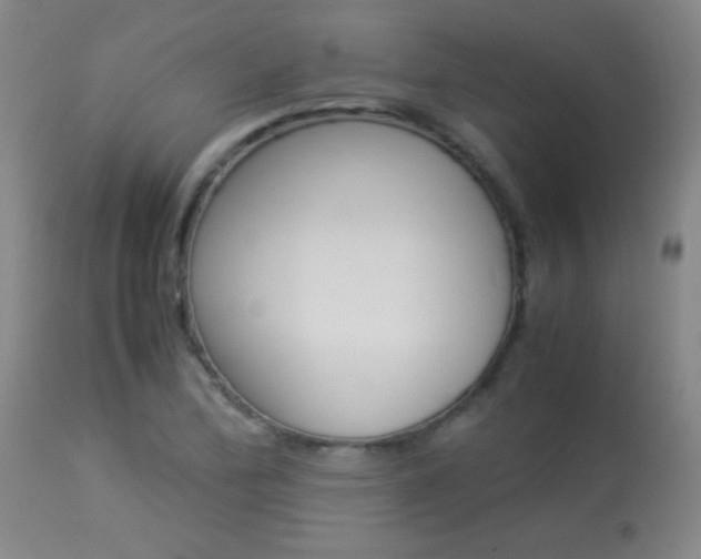 X0000113931172200909250908