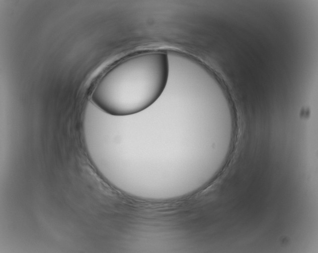 X0000113931173200909250908