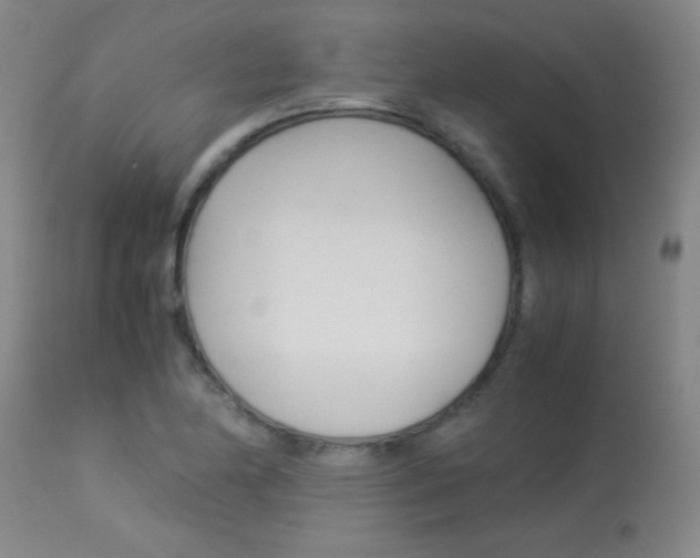 X0000113931174200909250908