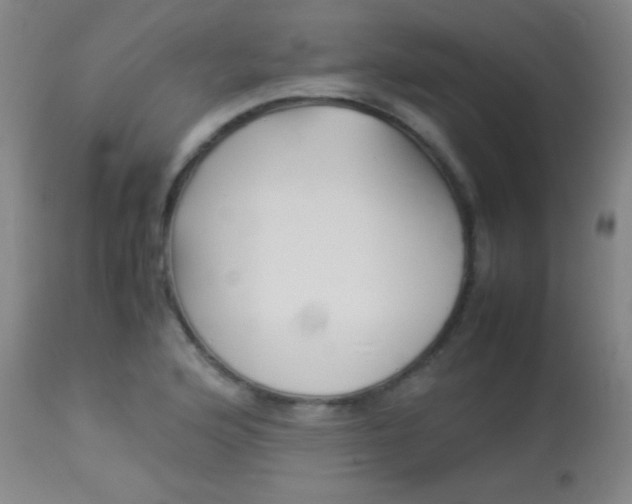 X0000113931176200909250908