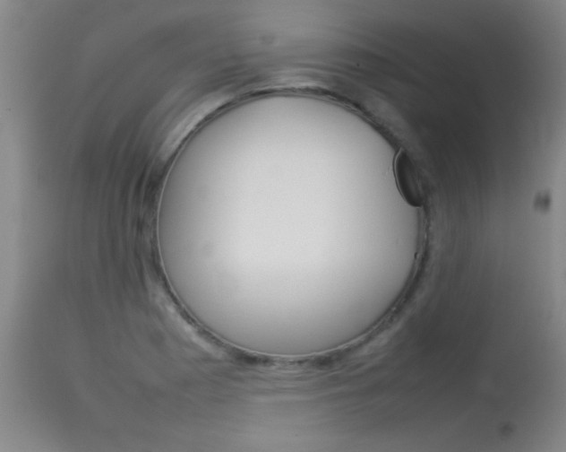 X0000113931177200909250908