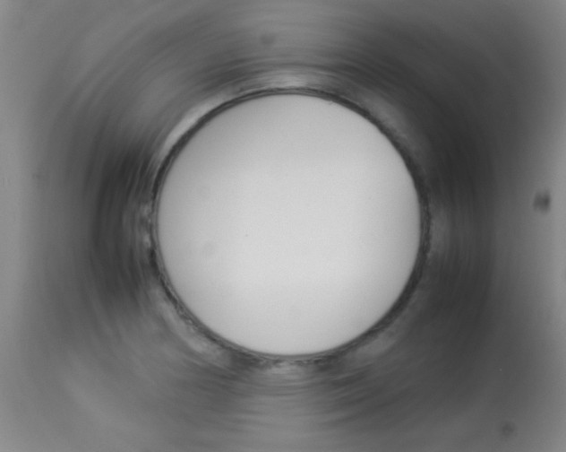 X0000113931178200909250908