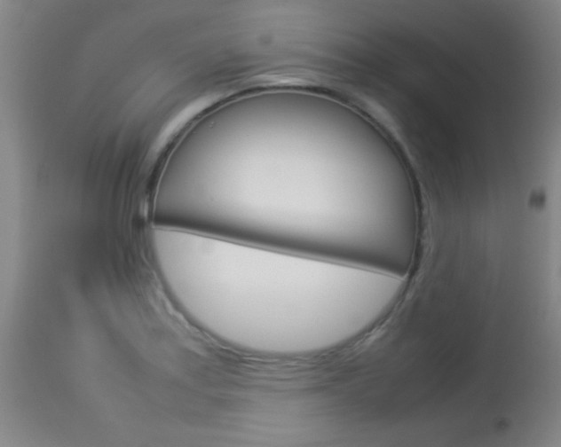 X0000113931179200909250908