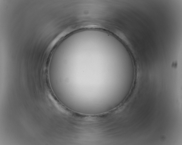 X0000113931181200909250908