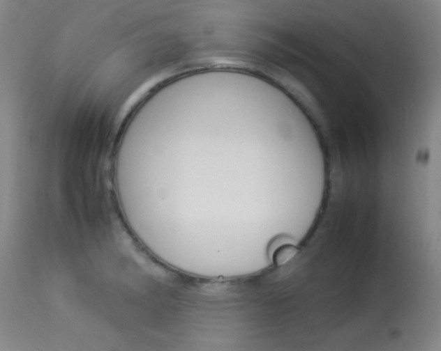 X0000113931182200909250908