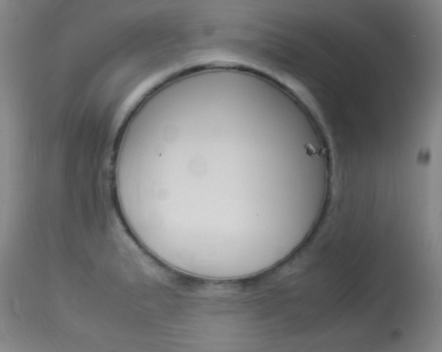 X0000113931183200909250908
