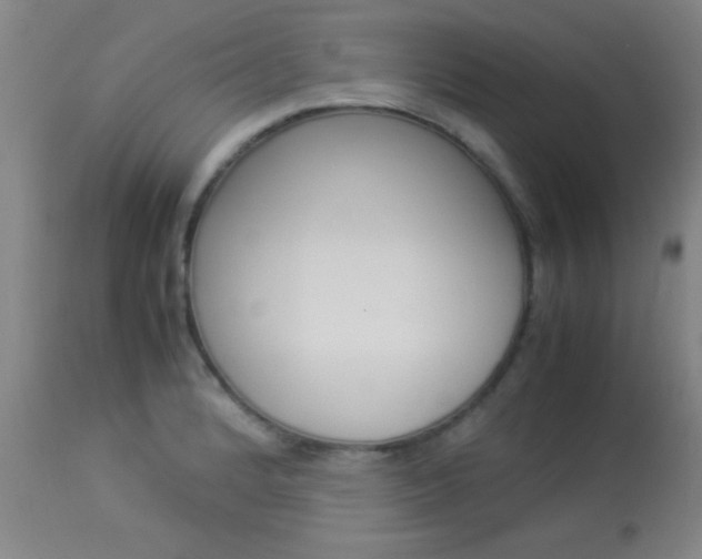 X0000113931184200909250908