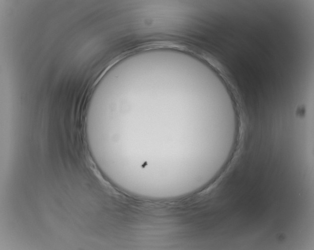 X0000113931185200909250908