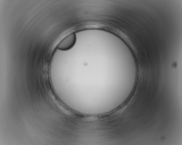 X0000113931186200909250908