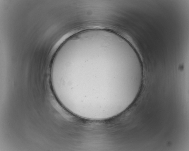 X0000113931187200909250908