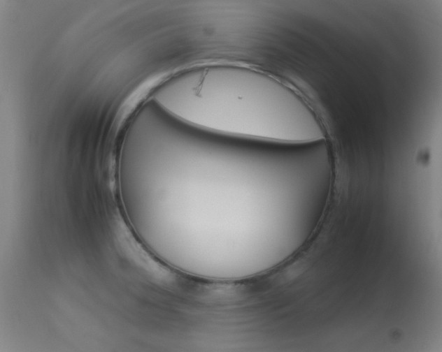 X0000113931188200909250908