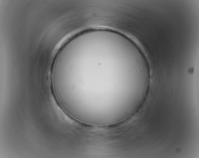 X0000113931191200909250908