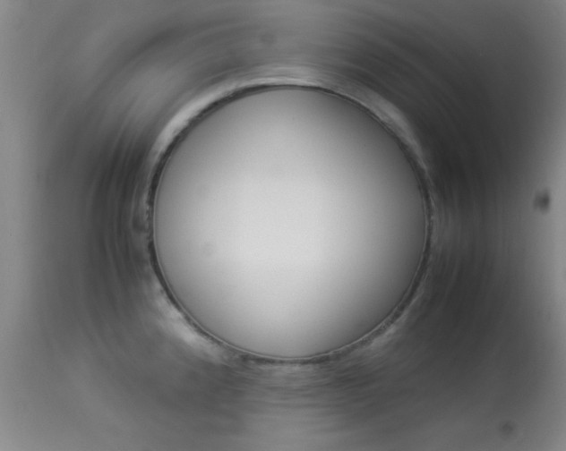 X0000113931192200909250908
