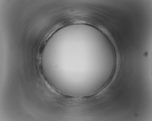 X0000113931193200909250908