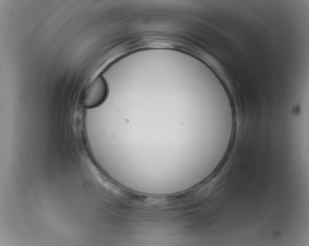 X0000113931194200909250908