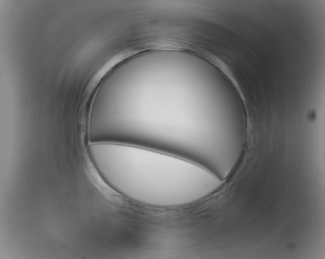 X0000113931195200909250908