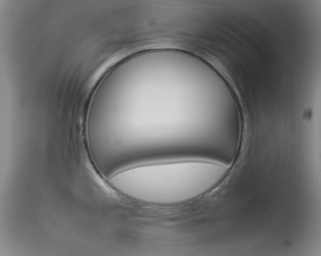 X0000113931197200909250908