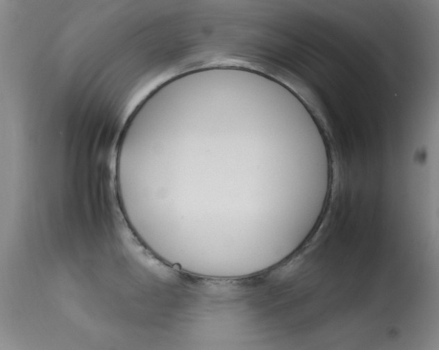 X0000113931198200909250908