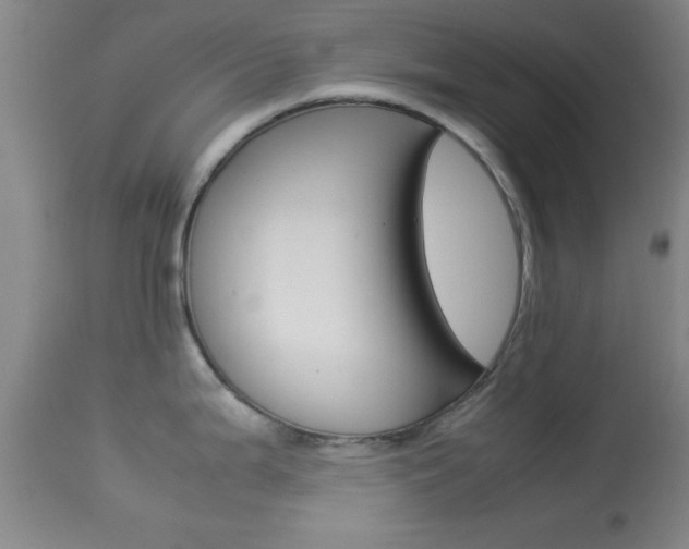 X0000113931199200909250908