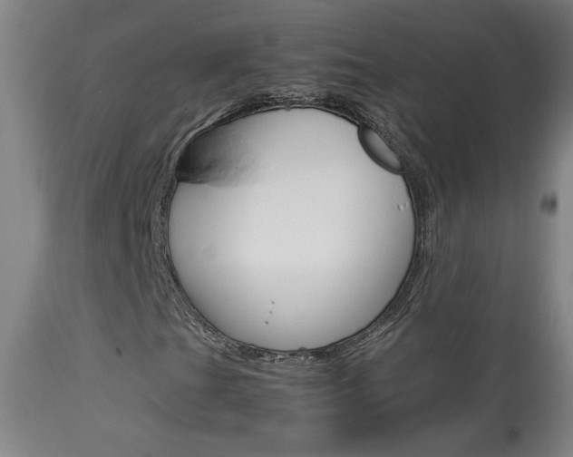 X0000113931201200909250907