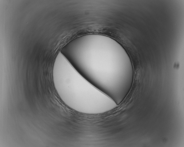 X0000113931202200909250907