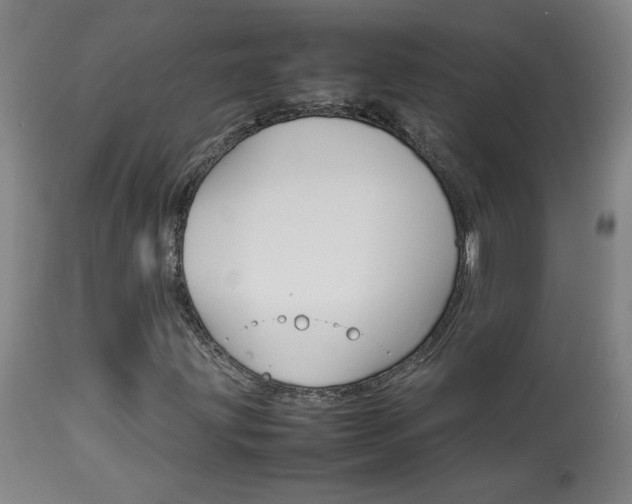 X0000113931203200909250907