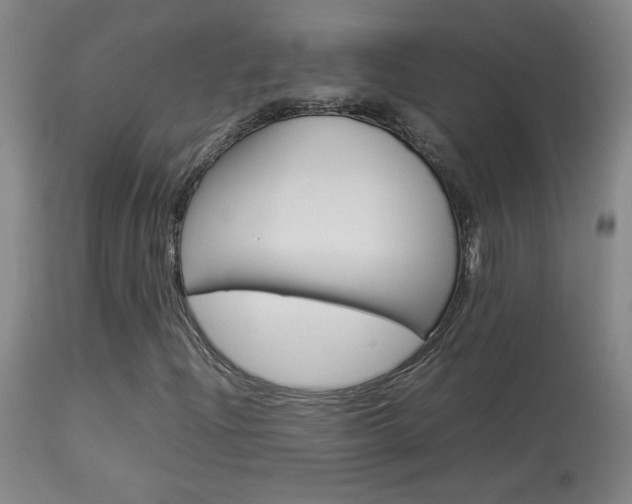 X0000113931204200909250907