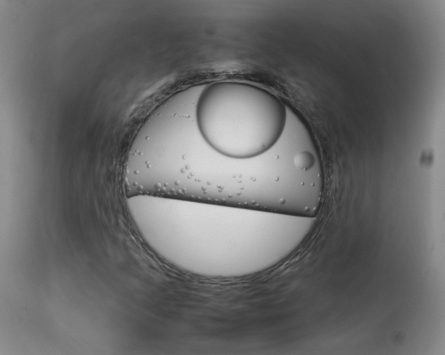 X0000113931205200909250907