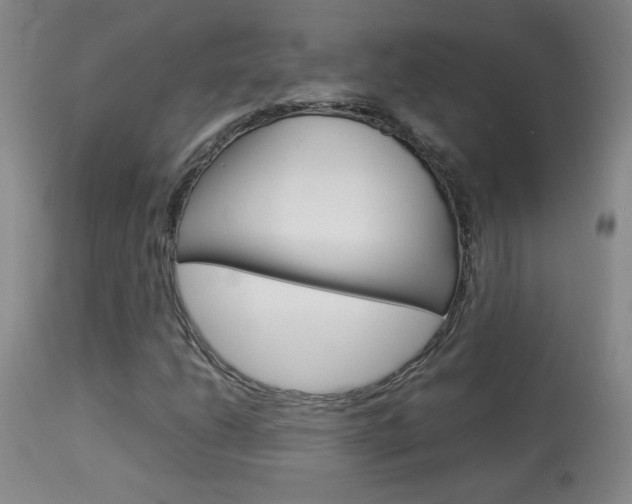 X0000113931206200909250907