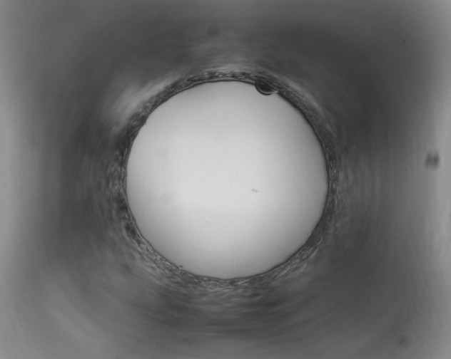 X0000113931207200909250907