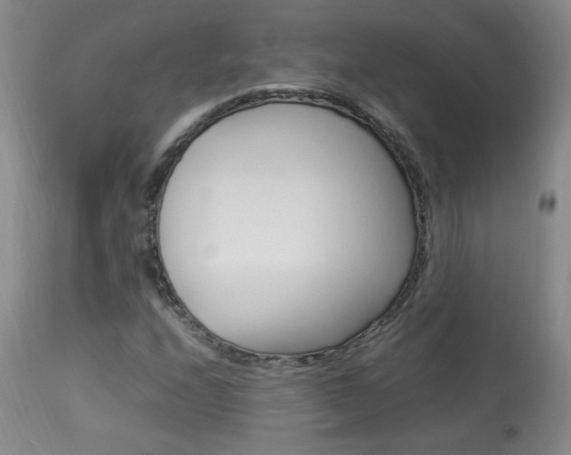 X0000113931208200909250907