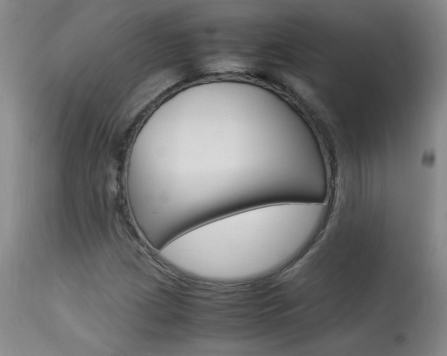X0000113931209200909250907