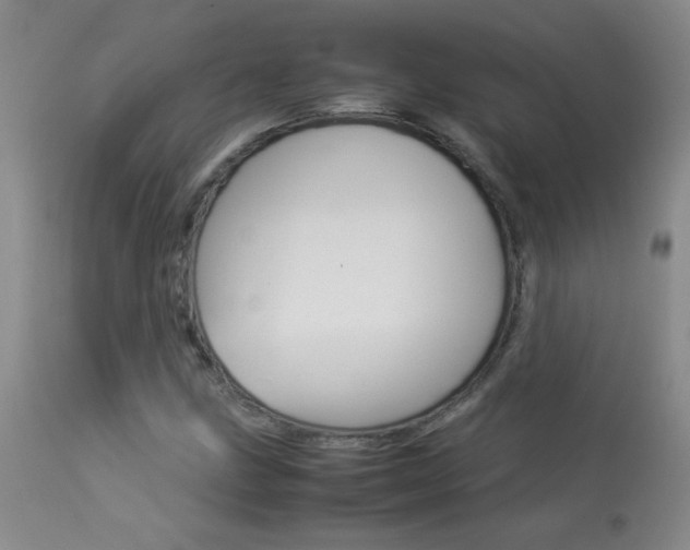 X0000113931211200909250907