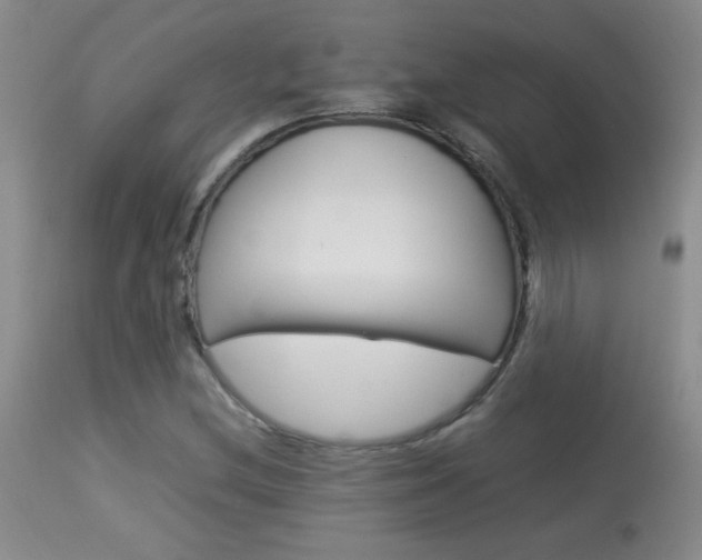 X0000113931212200909250907