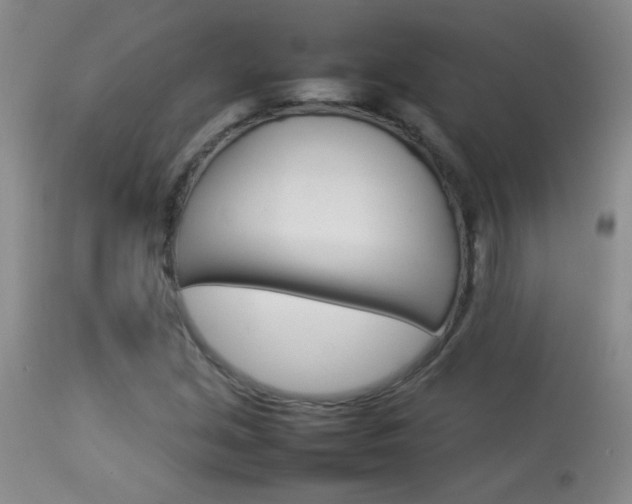 X0000113931213200909250908