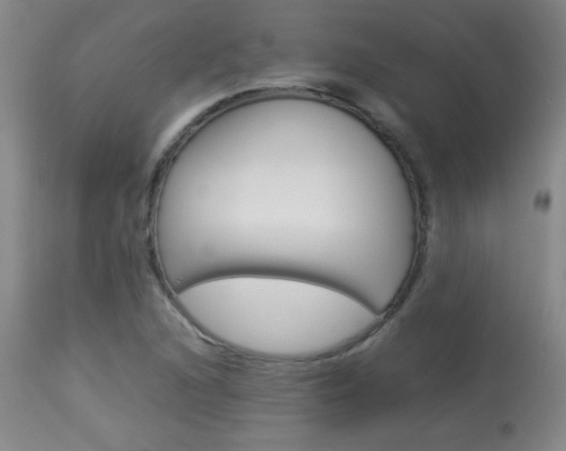 X0000113931216200909250908