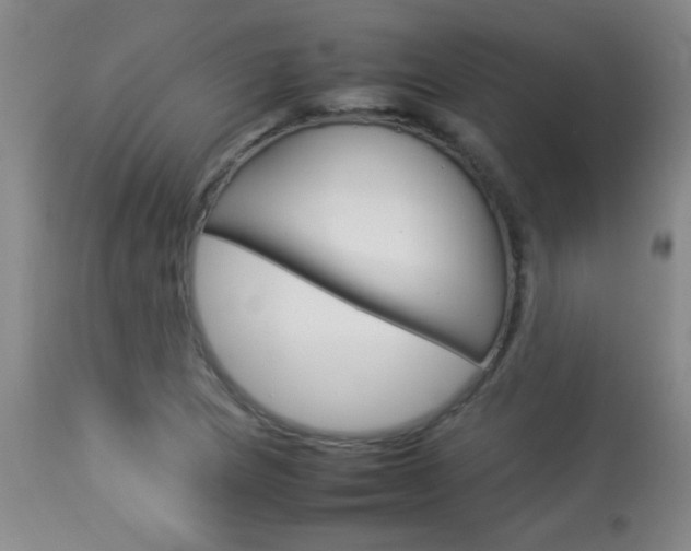 X0000113931217200909250908