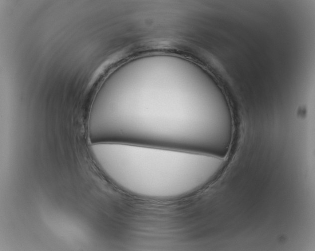 X0000113931218200909250908