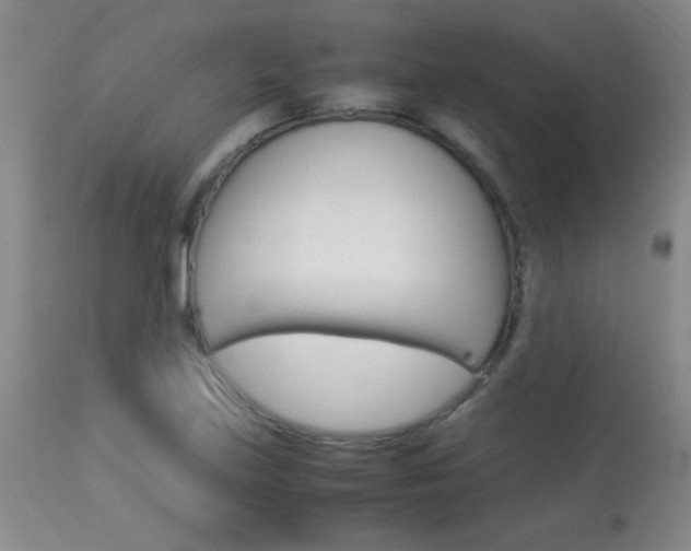 X0000113931219200909250908