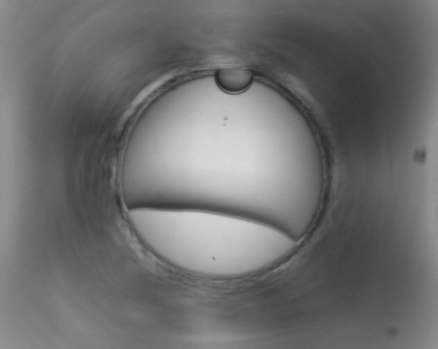 X0000113931220200909250908