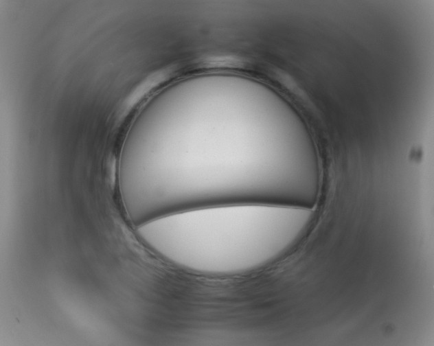 X0000113931221200909250908