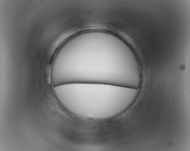 X0000113931223200909250908