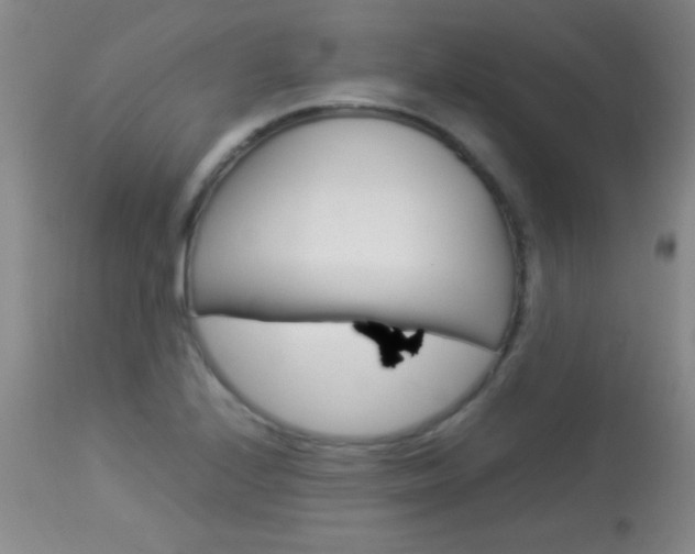X0000113931224200909250908